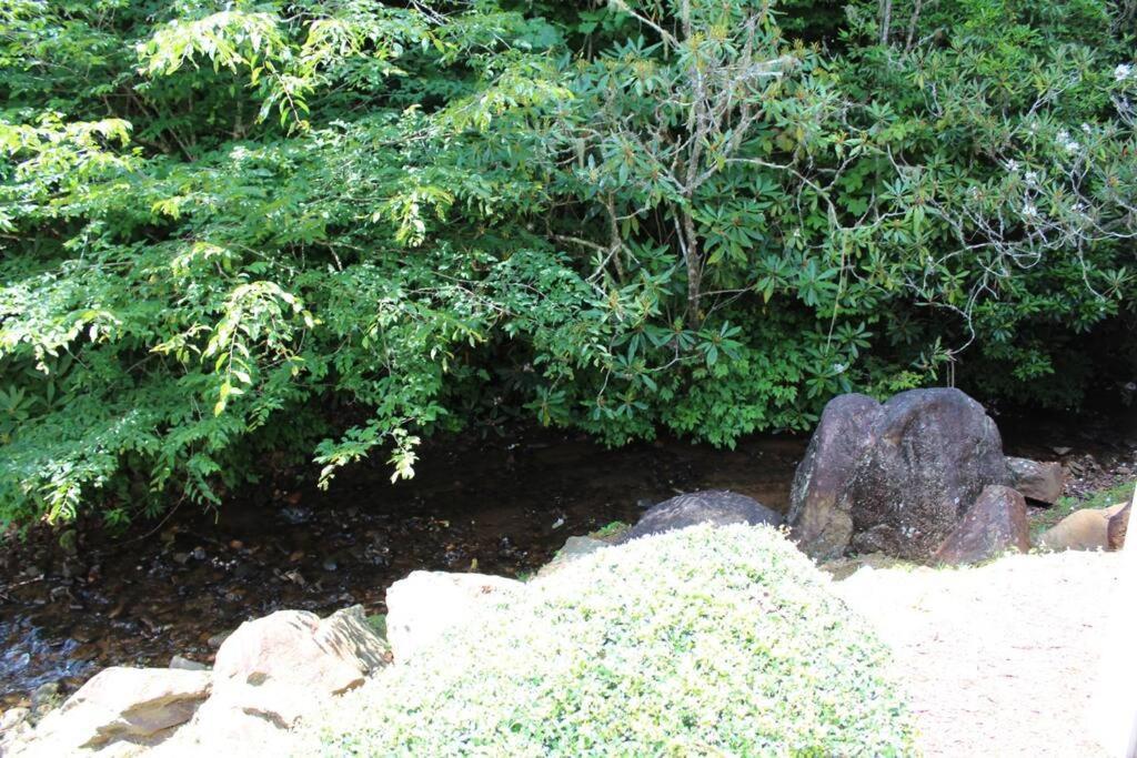 Creekside Gated Golf Mtn Villa W/Fast Wifi & Paved Franklin Zewnętrze zdjęcie